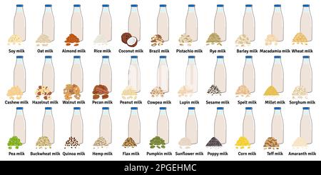 Jeu de biberons avec lait à base de plantes. Lait végétalien en bouteilles de verre. Pistache, graines de citrouille et de tournesol, amarante, maïs, macadamia, lait de sésame. MIL Illustration de Vecteur