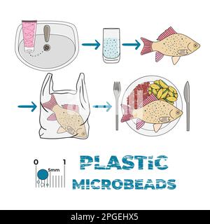 Infographie sur les microplastiques dans les cosmétiques.Microbilles dans l'eau provenant de déchets plastiques mal gérés.Pollution plastique marine et océanique.Environnement mondial Illustration de Vecteur