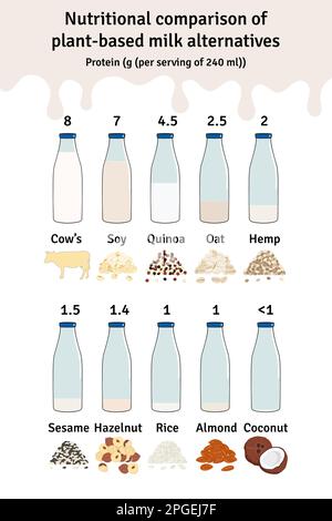 Jeu de biberons avec lait à base de plantes. Infographie sur les protéines du lait végétalien. Amande, soja, riz, noix de coco, noisette, avoine, sésame, chanvre, lait de quinoa. Lait alter Illustration de Vecteur