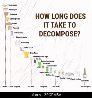 Taux de décomposition des débris marins. Combien de temps faut-il pour se décomposer ? Pollution marine, océanique, côtière. Infographie sur les déchets. Environnement mondial p Illustration de Vecteur