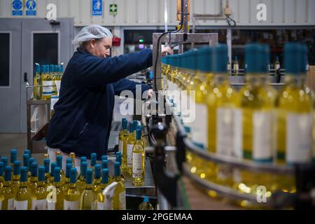 Une travailleuse d'usine portant un filet à cheveux dans une usine d'embouteillage de vin Banque D'Images