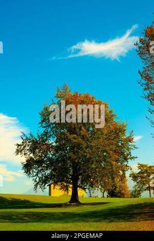 Arbre et Maison sur le terrain avec vue sur la montagne à l'automne en Lombardie, Italie. Banque D'Images