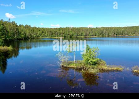 Voir, Teich in Schweden, Storetjämet in der Nähe von Svarrjärn in Mittelschweden, Värmland Banque D'Images