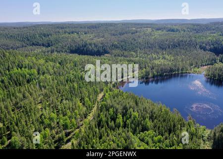 Voir, Teich und Wald in Schweden, Mittelschweden, Värmland, BEI Årjäng Banque D'Images