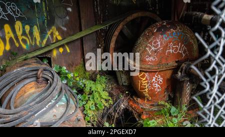 Un shack abandonné récupéré par la nature et couvert de graffiti Banque D'Images