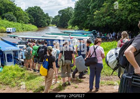 La Pavona, Costa Rica - les touristes sont à bord de bateaux sur la rivière Suerte pour une promenade d'une heure jusqu'au parc national de Tortuguero. Le parc ne peut être atteint que par b Banque D'Images