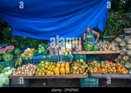 La Pavona, Costa Rica - Un homme vend des fruits cultivés localement. Banque D'Images