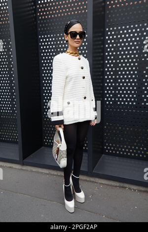 Femme Avec Des Chaussures à Talon Haut De Louis Vuitton Avant Style De Rue  De La Semaine De Mode De Milan Fashion Show Sur Gucci Image stock éditorial  - Image du chaussures