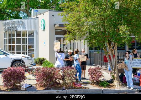 LA NOUVELLE-ORLÉANS, LA, États-Unis - 22 MARS 2023 : grève des travailleurs devant Starbucks sur Maple Street Banque D'Images