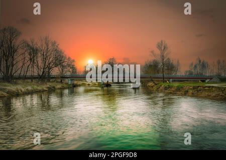 Rivière Widawka le jour du printemps, Pologne. Banque D'Images