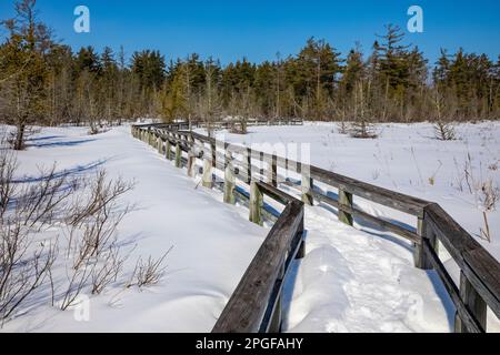 Sentier Sand point Marsh en hiver, Pictured Rocks National Lakeshore, Upper Peninsula, Michigan, États-Unis Banque D'Images