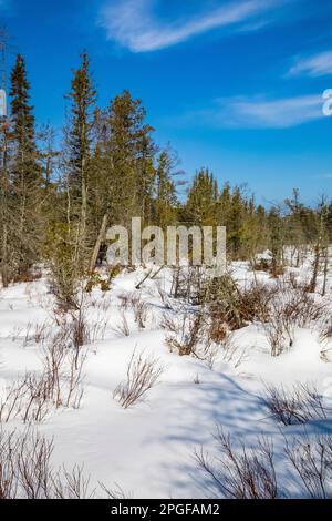 Sentier Sand point Marsh en hiver, Pictured Rocks National Lakeshore, Upper Peninsula, Michigan, États-Unis Banque D'Images