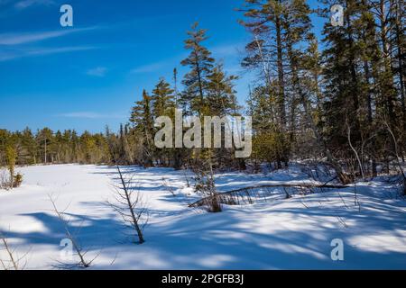 Sentier Sand point Marsh en hiver, Pictured Rocks National Lakeshore, Upper Peninsula, Michigan, États-Unis Banque D'Images