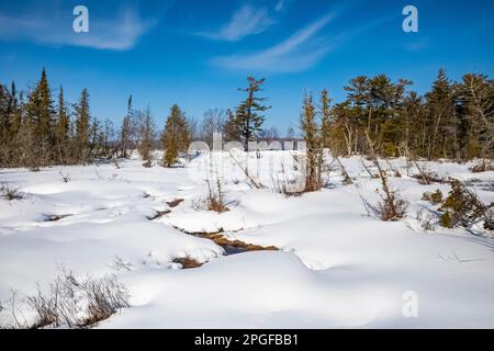 Sentier Sand point Marsh en hiver, Pictured Rocks National Lakeshore, Upper Peninsula, Michigan, États-Unis Banque D'Images