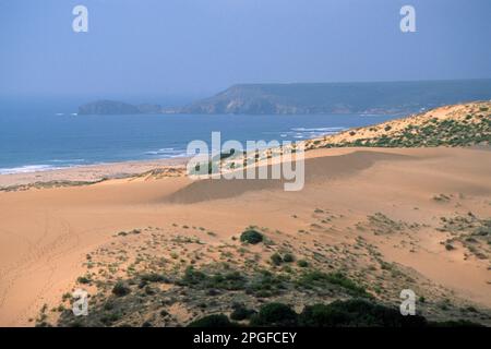 Dunes de Torre dei Corsari, à quelques kilomètres d'Oristano. Un des endroits les plus caractéristiques de la Sardaigne. Italie Banque D'Images