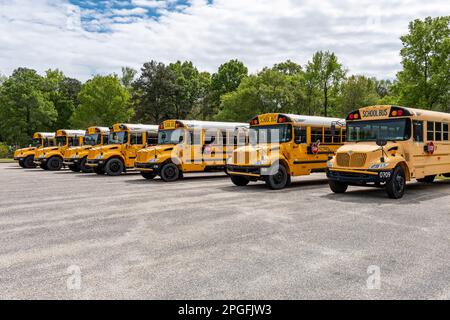 Ligne de bus scolaires jaunes vides garés pour transporter les enfants à l'école à Montgomery, Alabama, États-Unis. Banque D'Images