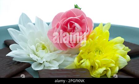 Les têtes florissantes d'un buttercup persan également connu sous le nom de buttercup asiatique de Crowfoot, un membre de la famille botanique de Ranunculus entouré de Wh Banque D'Images