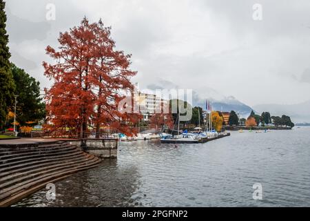 Scène de la nature de la buée et voilier abrité dans le petit port et la jetée en eau d'hiver et les mélèzes d'orange à distance et la ville de Locarno Banque D'Images