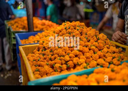 Marché aux fleurs Banque D'Images