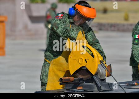 22 mars 2023, RayÃ³n, Mexique : l'armée mexicaine de la zone militaire 22nd a détruit 288 armes légères, 93 armes longues, 3472 munitions et 102 magazines, qui provenaient de saisies par le crime organisé et avaient été mis à la disposition du Ministère de la défense nationale. Sur 22 mars 2023 à RayÃ³n, México. (Credit image: © Arturo Hernandez/eyepix via ZUMA Press Wire) USAGE ÉDITORIAL SEULEMENT! Non destiné À un usage commercial ! Banque D'Images
