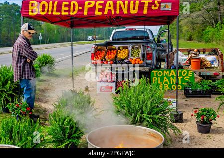 Un homme vend des arachides bouillies et des produits variés sur un stand en bord de route sur la Mississippi Highway 63, 20 mars 2023, à Moss point, Mississippi. Banque D'Images