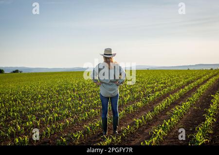 Un agriculteur satisfait est à la recherche du champ de maïs à sa ferme biologique. Femme agronome portant un chapeau de paille et des bottes en caoutchouc. Occupation agricole Banque D'Images
