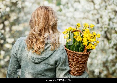 Femme avec des fleurs de jonquille dans un panier en osier marchant dans un verger en fleurs. Saison de printemps dans la nature Banque D'Images