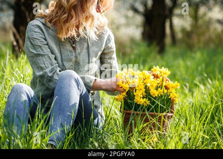 Saison de printemps dans la nature. Femme avec fleurs de jonquille dans un panier en osier assis dans l'herbe. Détente à l'extérieur Banque D'Images