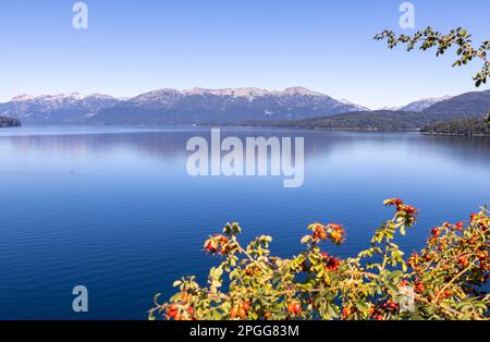 La route célèbre et idyllique des sept lacs de San Martin de los Andes à Villa la Angostura en Patagonie, Argentine Banque D'Images