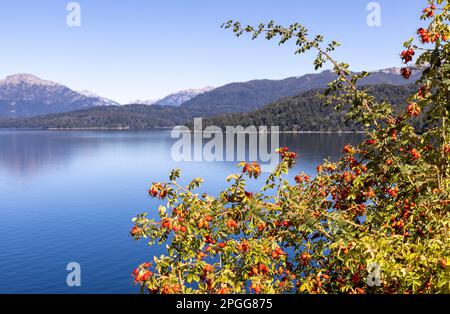 La route célèbre et idyllique des sept lacs de San Martin de los Andes à Villa la Angostura en Patagonie, Argentine Banque D'Images