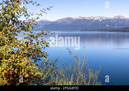 La route célèbre et idyllique des sept lacs de San Martin de los Andes à Villa la Angostura en Patagonie, Argentine Banque D'Images