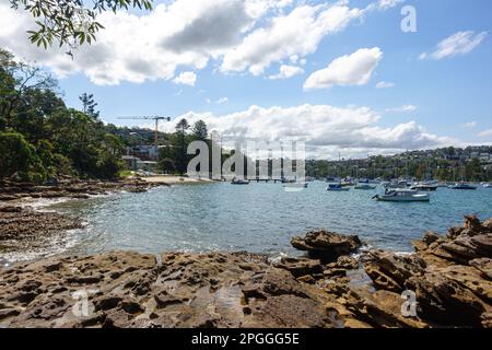 Forty paniers Beach dans le port nord de Sydney, en Australie Banque D'Images