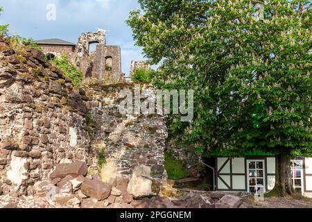 Château de Hohnstein ruine Neustadt im Harz Banque D'Images