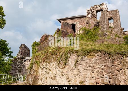 Château de Hohnstein ruine Neustadt im Harz Banque D'Images