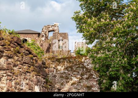 Château de Hohnstein ruine Neustadt im Harz Banque D'Images