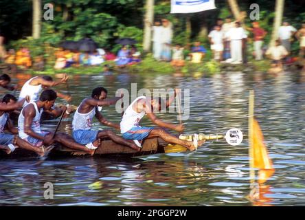 Courses de bateaux à serpent à Payippad près de Haripad, Kerala, Inde, Asie Banque D'Images