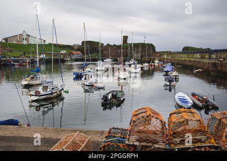 Vue sur le port avec des pots de homard, des bateaux et un château en ruines en arrière-plan, Dunbar Castle, Dunbar Harbour, Dunbar, East Lothian, Ecosse, unie Banque D'Images