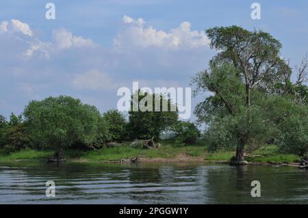 Havel, Saxe-Anhalt, Allemagne Banque D'Images