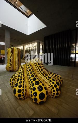 L'intérieur du magnifique M+ Museum de Hong Kong. Banque D'Images