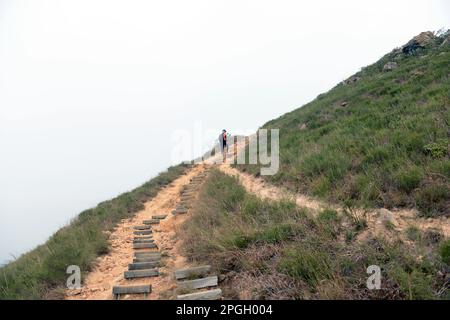 Randonnée dans le Lam Tsuen Country Park dans les nouveaux territoires de Hong Kong. Banque D'Images