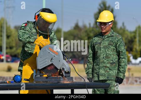 Non exclusif : 22 mars 2023, Rayón , Mexique : l'armée mexicaine de la zone militaire 22nd a détruit 288 armes légères, 93 armes longues, 3472 munitions et Banque D'Images