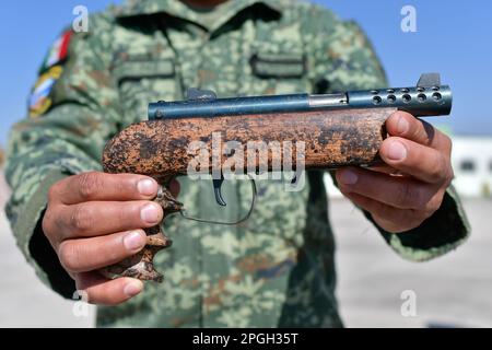 Non exclusif : 22 mars 2023, Rayón , Mexique : l'armée mexicaine de la zone militaire 22nd a détruit 288 armes légères, 93 armes longues, 3472 munitions et Banque D'Images