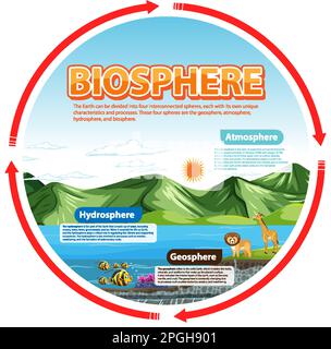 Infographie sur l'écologie de la biosphère pour l'illustration de l'apprentissage Illustration de Vecteur