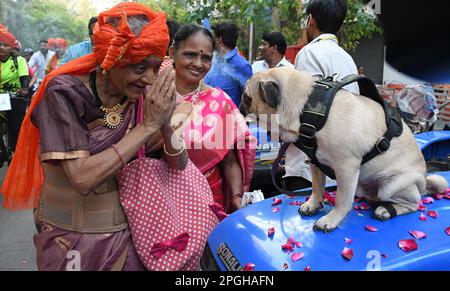 Mumbai, Inde. 22nd mars 2023. Une femme Maharashtrian âgée vêtue de vêtements traditionnels rend hommage à un pug assis sur un tracteur lors d'une procession Gudi Padwa à Mumbai. Gudi Padwa est le premier jour de la nouvelle année célébrée par les Maharashtrians et les Hindous Kokani, qui marque les nouveaux débuts et l'arrivée de la saison de printemps. (Photo par Ashish Vaishnav/SOPA Images/Sipa USA) crédit: SIPA USA/Alay Live News Banque D'Images