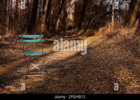 L'autre jour, nous avons trouvé une vieille chaise de jardin de bière près de la rivière Inn, en marchant dans la forêt Banque D'Images