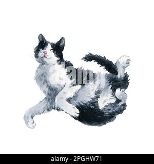 Chat bicolore noir et blanc dorment dans une posture mignonne. Masque de peinture aquarelle isolé sur fond blanc. Motif pour tissu, t-shirt, carte postale, Banque D'Images