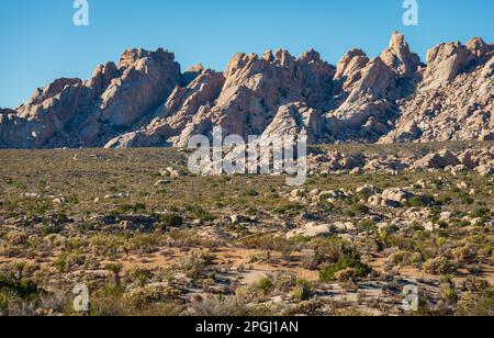 Des falaises de granit irrégulières et arrondies bordent une crête au-dessus d'une plaine de buissons désertiques verts et bruns sous le faible soleil d'hiver dans la réserve nationale de Mojave, en Californie. Banque D'Images