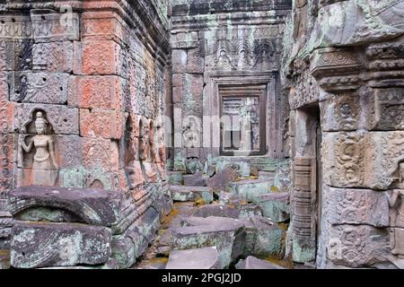 Cambodge: Devata (divinité féminine) orne les murs de Preah Khan (Temple de l'épée sacrée). Preah Khan a été construit à la fin du 12th siècle (1191) par Jayavarman VII et est situé juste au nord d'Angkor Thom. Le temple a été construit sur le site de la victoire de Jayavarman VII sur les Chams envahisseurs en 1191. Elle était le centre d'une organisation importante, avec près de 100 000 fonctionnaires et fonctionnaires. Il a servi comme une université bouddhiste à un moment donné. La déité primaire du temple est la boddhisatva Avalokiteshvara sous la forme du père de Jayavarman. Banque D'Images