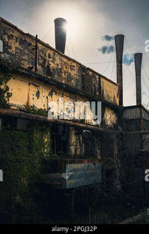 intérieurs et machines, usines qui prennent possession d'une industrie abandonnée désaffectée, ancienne usine de coton, production industrielle Banque D'Images