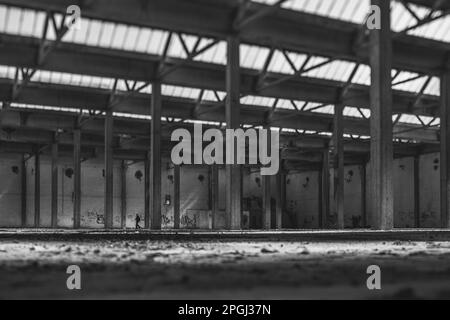 intérieurs et machines, usines qui prennent possession d'une industrie abandonnée désaffectée, ancienne usine de coton, production industrielle Banque D'Images